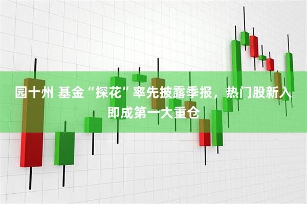园十州 基金“探花”率先披露季报，热门股新入即成第一大重仓