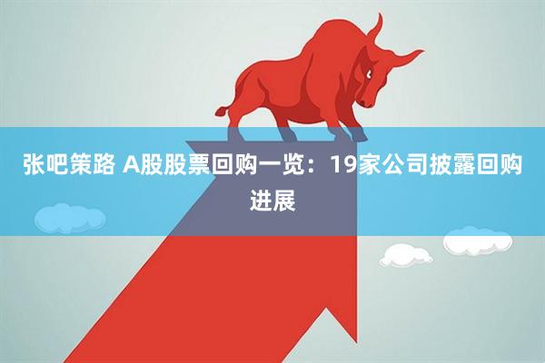 张吧策路 A股股票回购一览：19家公司披露回购进展
